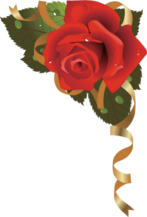 Tube Rose Rouge Coin Red Rose Png Valentine S Day