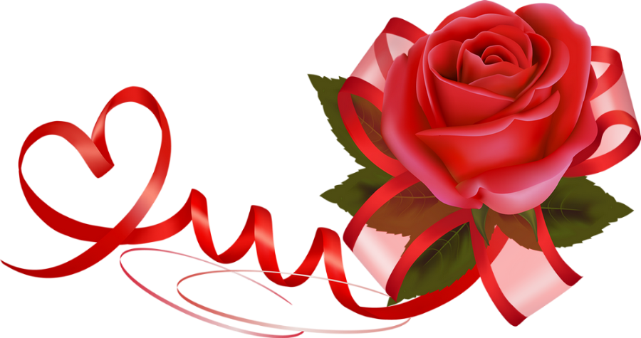 Rose Rouge Png Tube Fleur Red Rose Png Bloom Hot Sex Picture