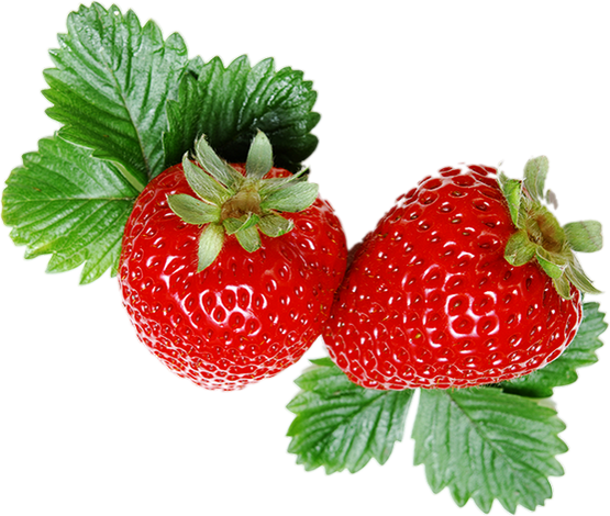 Tube Fruit, Fraises Png . Strawberries . Fresas . Fragole