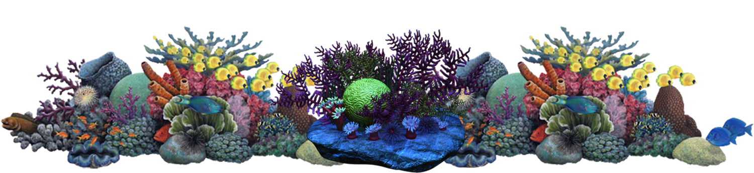 Fond Marin Png Poissons Tube Mer Oc An Seabed Png