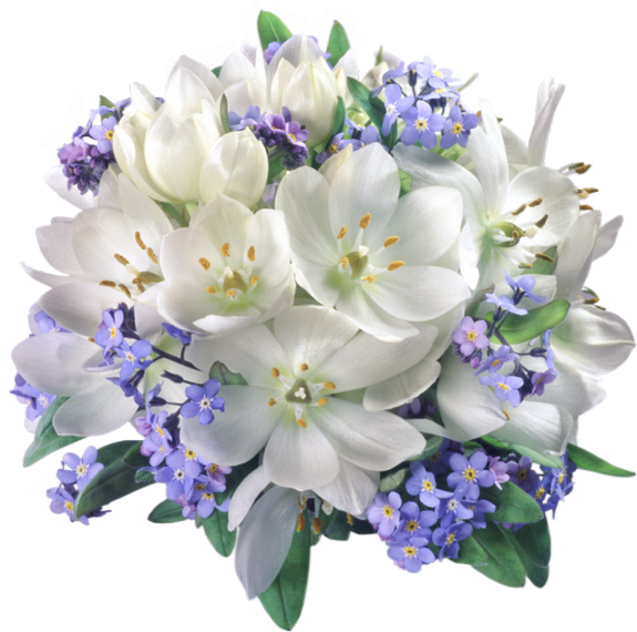 Tube Fleurs Bouquet De Mari E Png Wedding Flowers