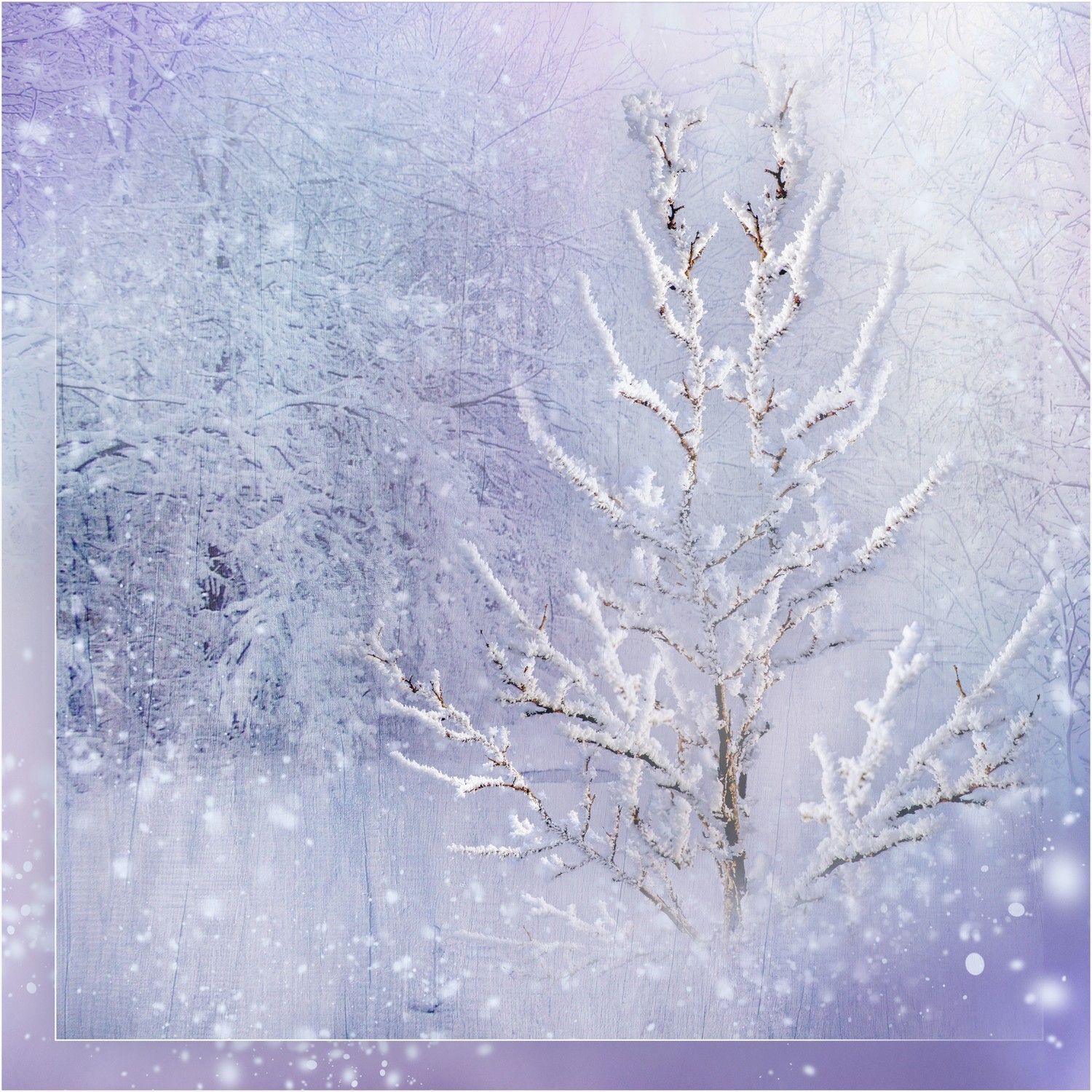 winter background images for zoom