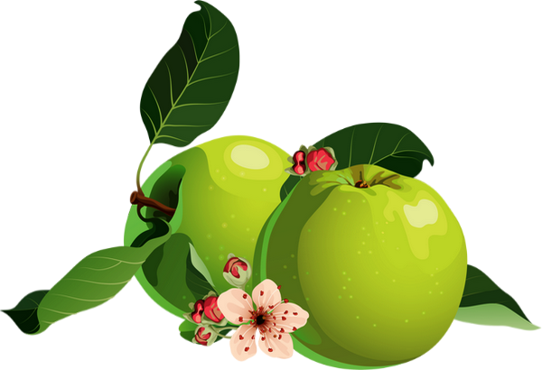 Tube Fruit Pommes Png Dessin Apples Drawing Png 4268