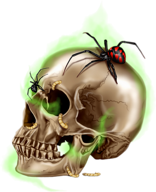 Tube Halloween Crâne Png Squelette Bones Skull Png 