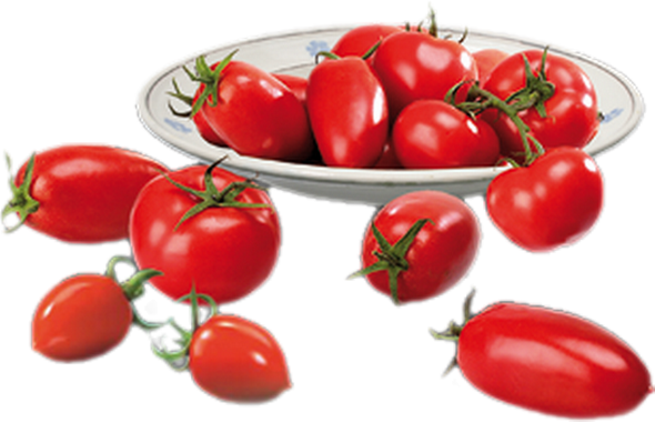 Tomates - Tomatoes Png - Tomaten - Pomodori