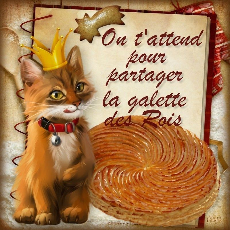 Résultat de recherche d'images pour "galette des rois avec chat"