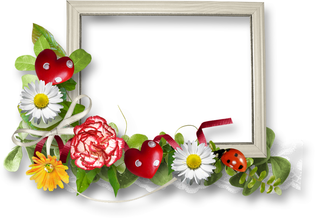 Cadre Fleuri Png Transparent Cluster Frame Png Bloom