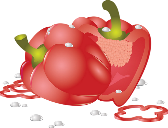 Poivron rouge : dessin - Red pepper drawing - png