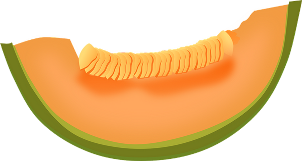 tranche-de-melon-clipart