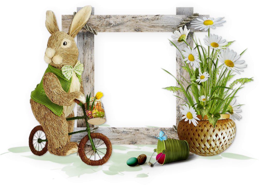 Cadre png Pâques, lapin, fleurs_Easter frame png, bunny