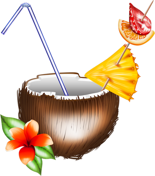 Tube Boisson Cocktail Png Noix De Coco Coconut Png