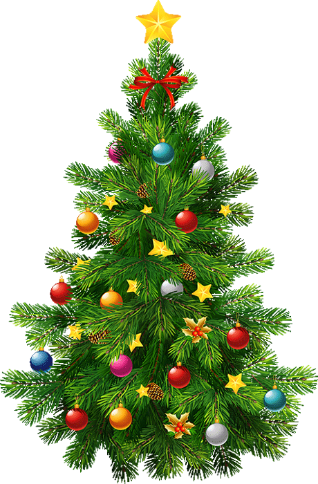 Sapin De Noël Png Christmas Tree Arbol De Navidad Png