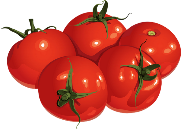 Tomates Png Dessin Tomatoes Drawing Tomaten Png 7366