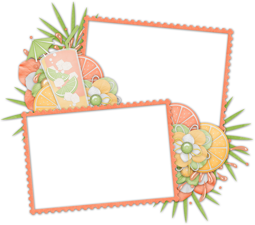 Tube Png Cadre Photos Summer Frame Png Marco Png