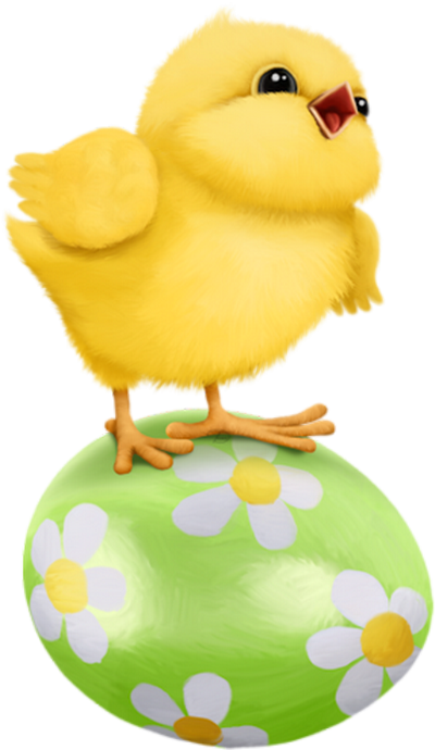 Poussin Png Tube Pâques Chick Clipart Easter Png