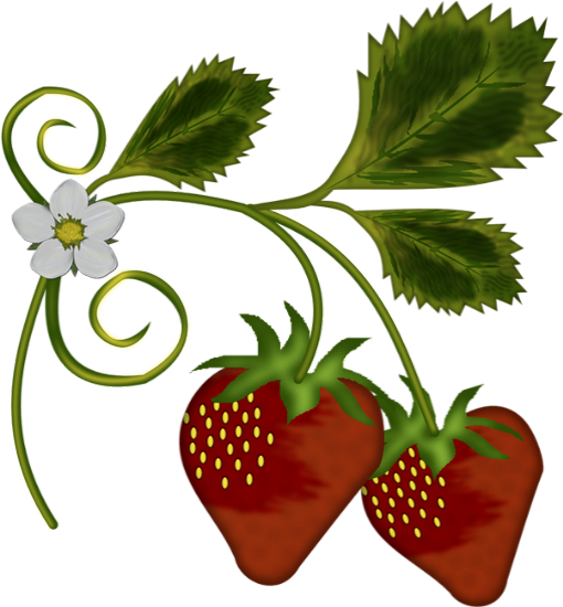 Fraises : Illustration Png - Strawberries - Erdbeeren Png