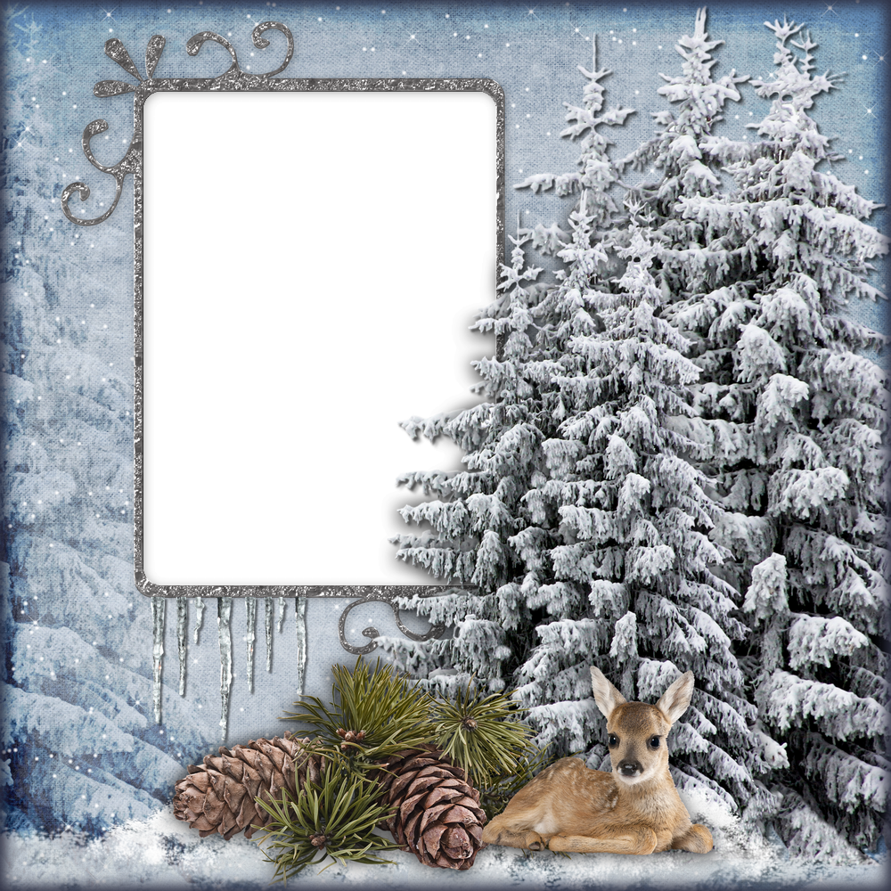 Cadre png hiver, neige - Winter frame png, QP, snow