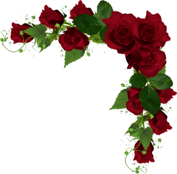 ♥ Roses Rouges Png Tube Fleur Red Flowers Valentine ♥