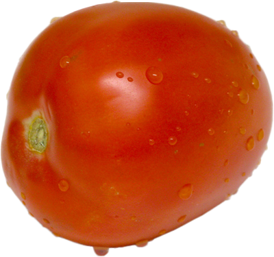 Tomate Png : Tube Légume - Pomodoro - Tomato Png