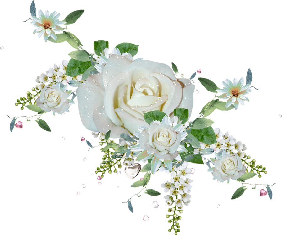 Shutterstock White Flower Png Images