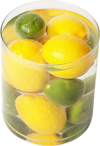 Tube Fruit Citrons Png Bocal Lemons Png Limes Jar