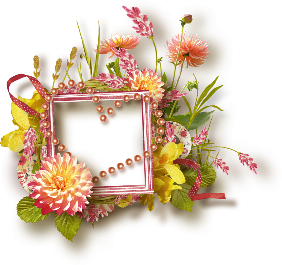 Cadre Png Fleurs Cluster Frame Bloom Marco Png