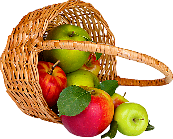 Panier De Pommes Png Tube Fruit Apples Png Fruits 9749