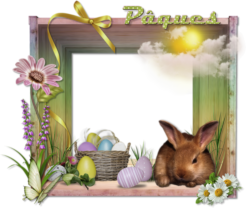 Cadre Pâques png, lapin Easter frame png, rabbit