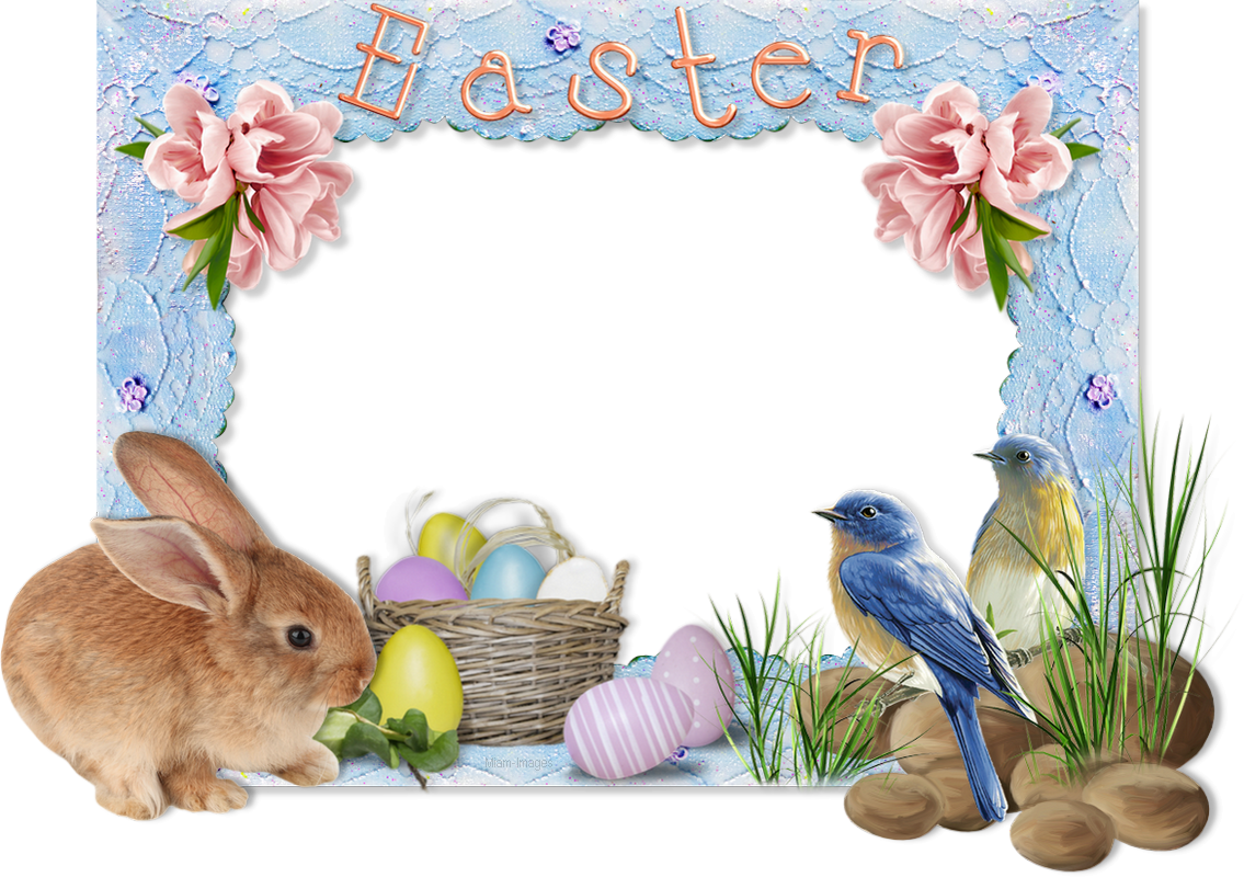 Cadre Pâques png Easter frame png, rabbit, birds