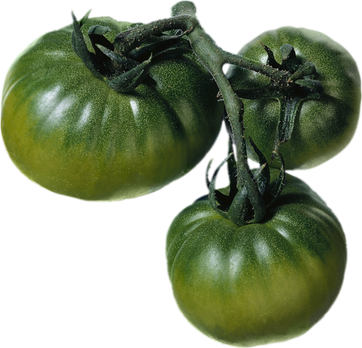 Tube Tomates Vertes - Tomaten - Green Tomatoes Png